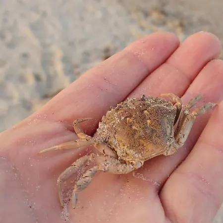 Strandblick 13 * Brodersby-Goltoft